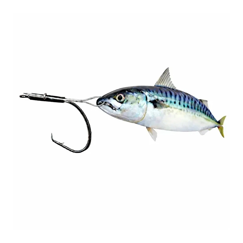 Cox & Rawle Bait Bridle Clips
